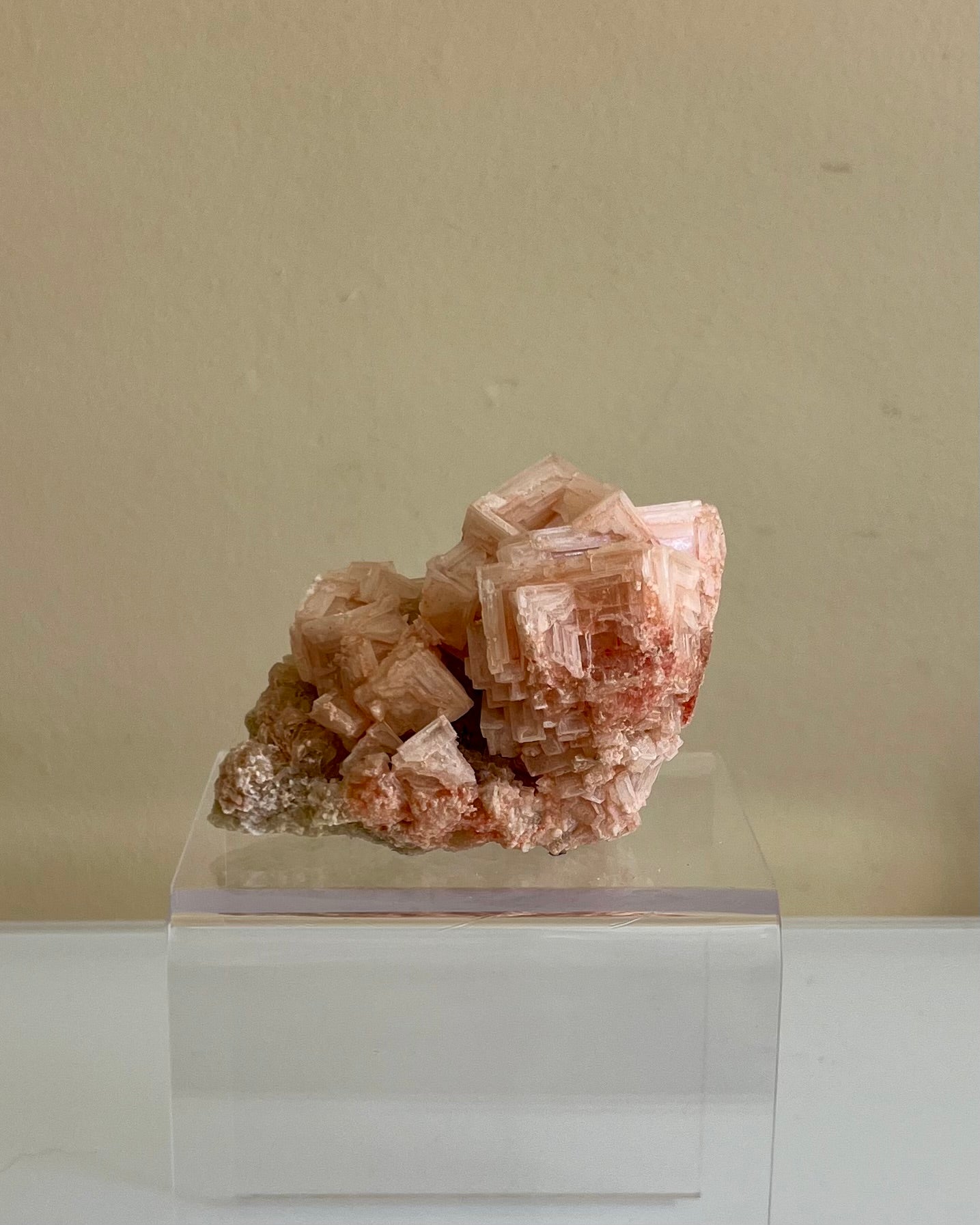 Roze Haliet