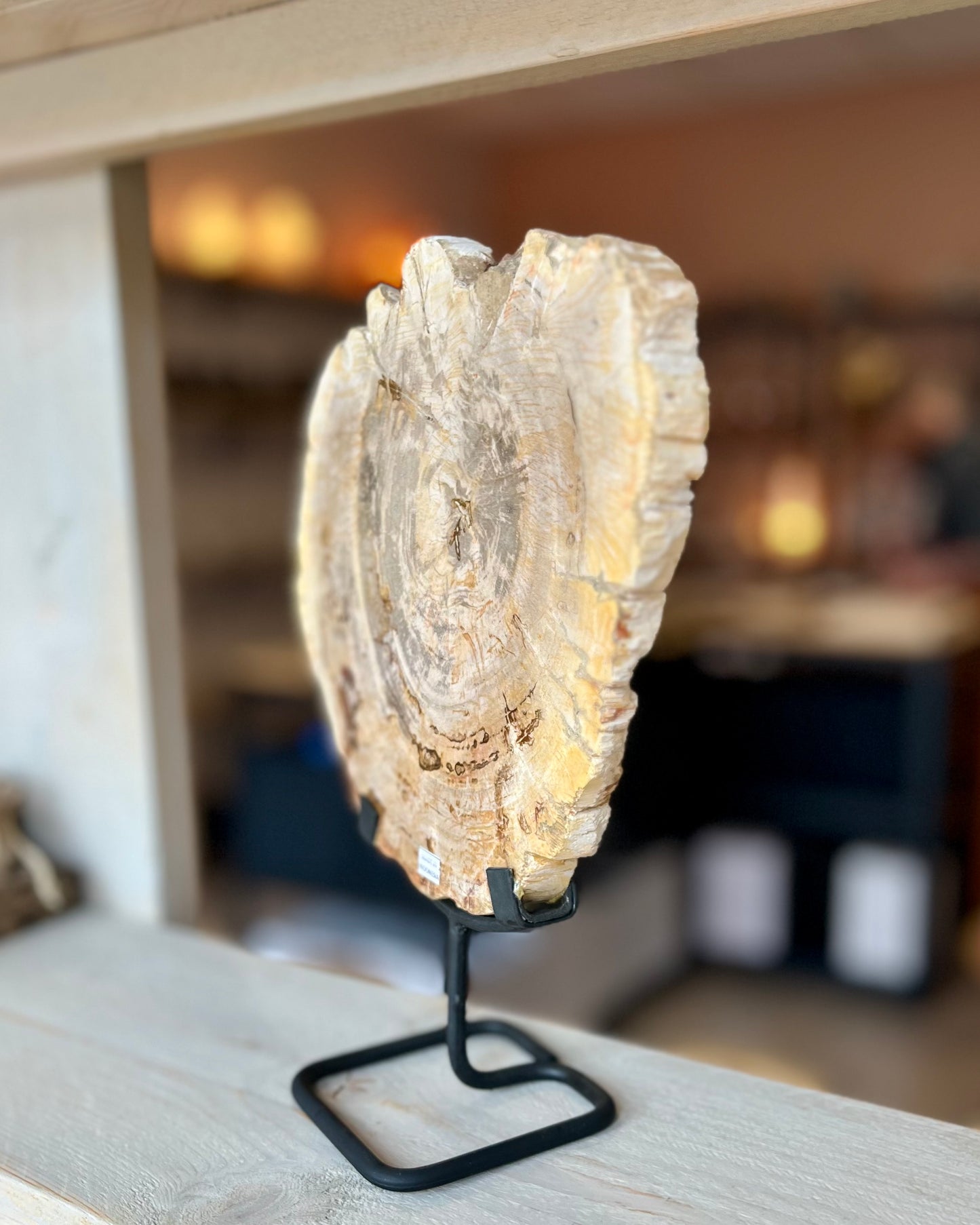 Grote schijf versteend hout op standaard