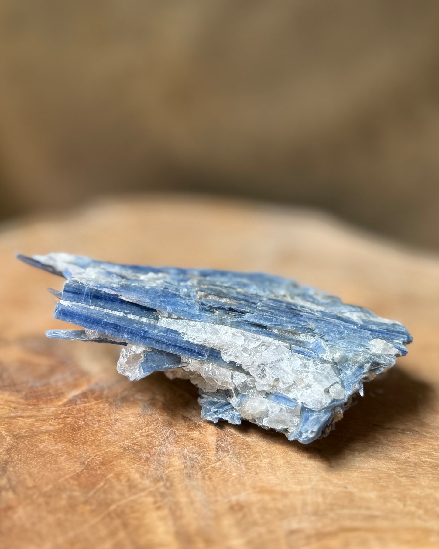 Ruw stuk Blauwe Kyaniet