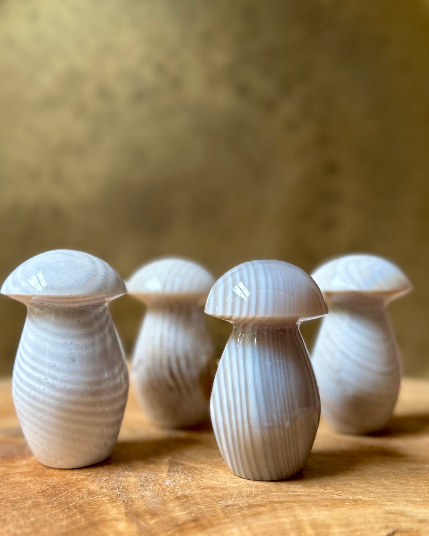 Flint Jaspis Paddenstoel