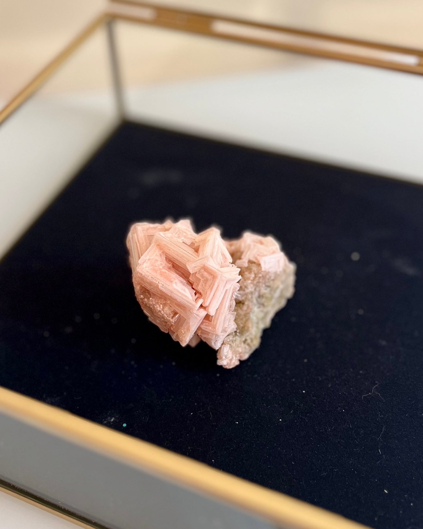 Roze Haliet