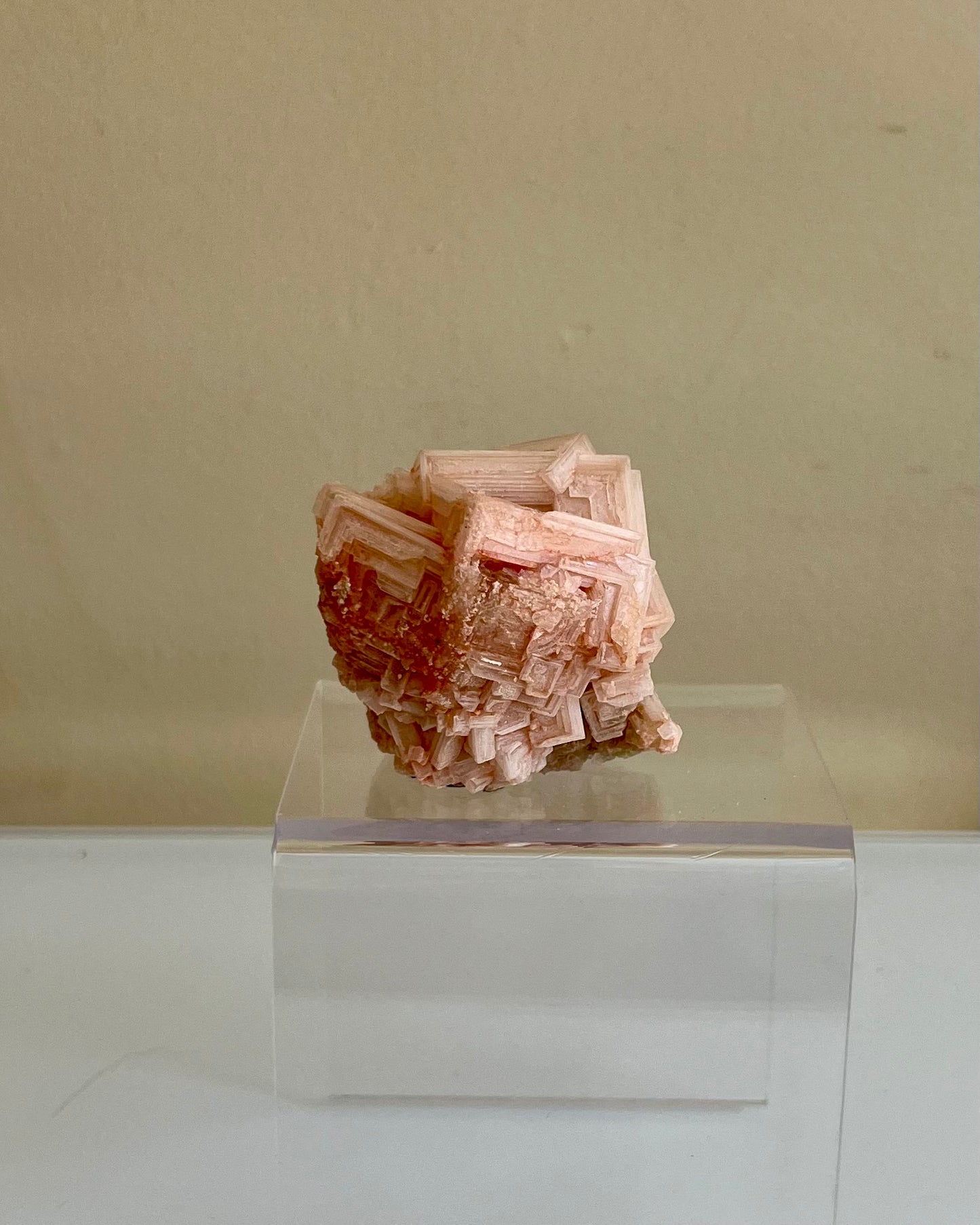 Roze Haliet