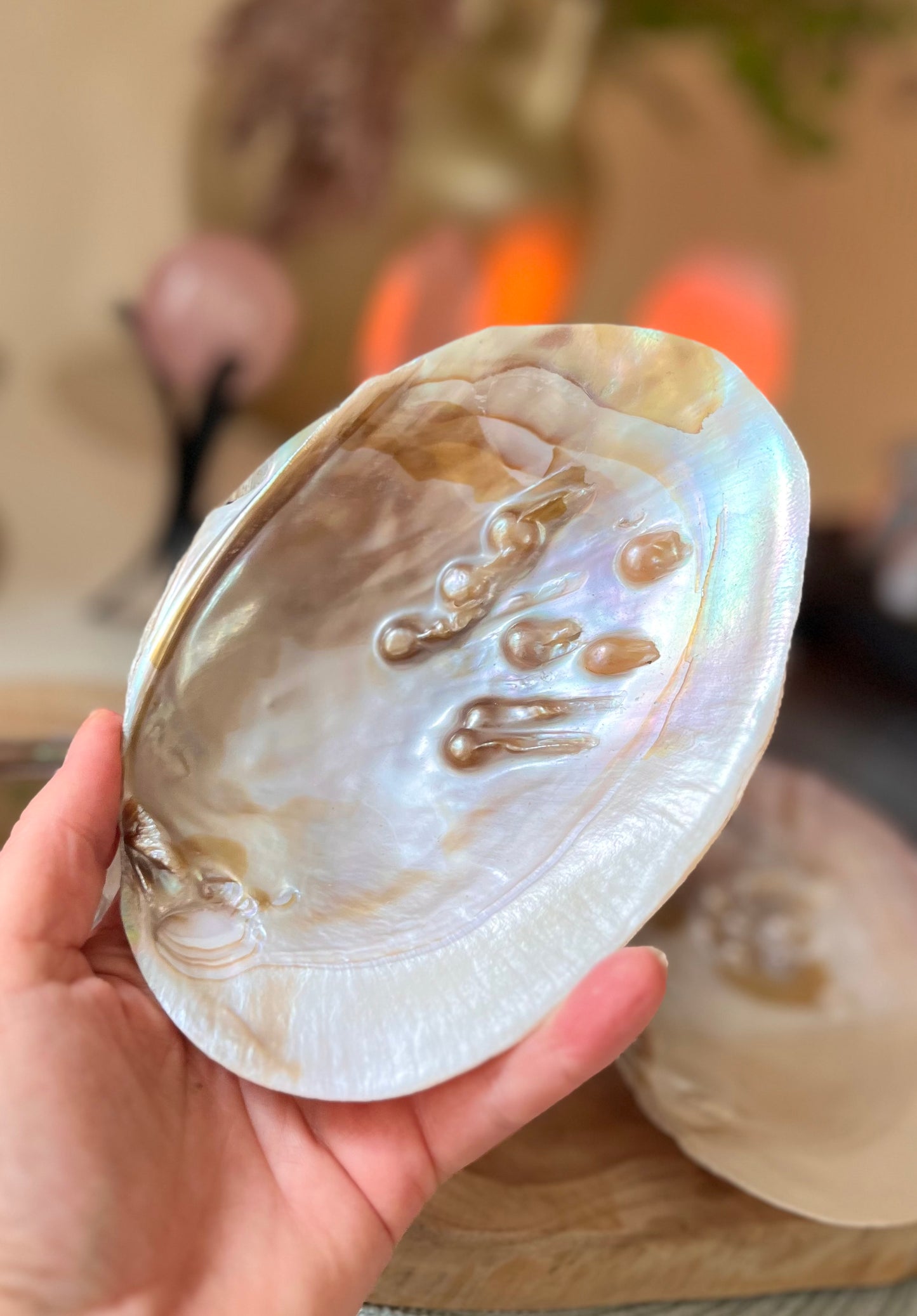 Pearl shell