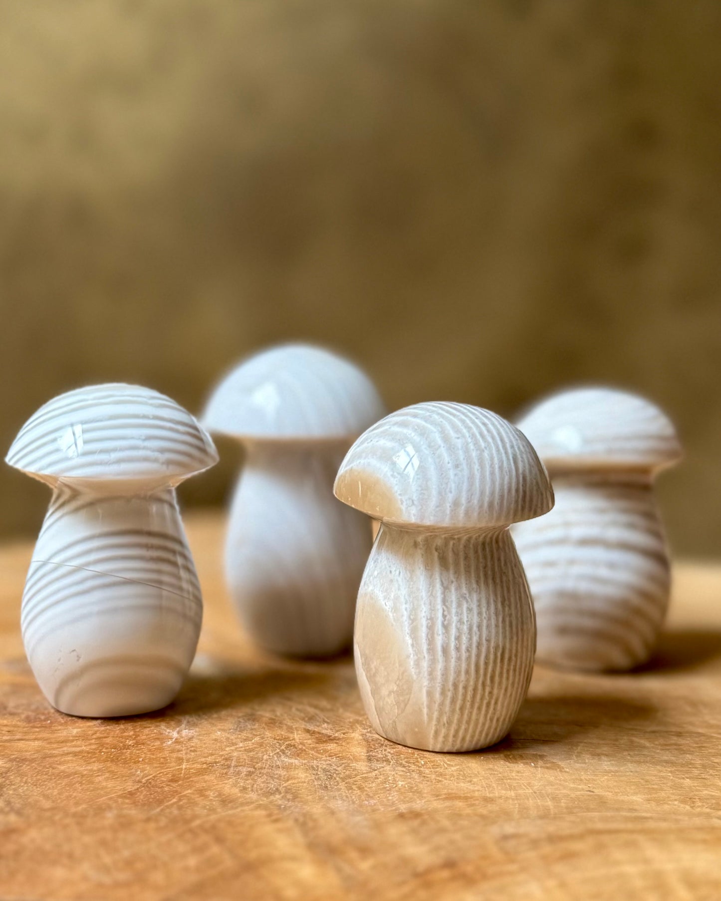 Flint Jaspis Paddenstoel