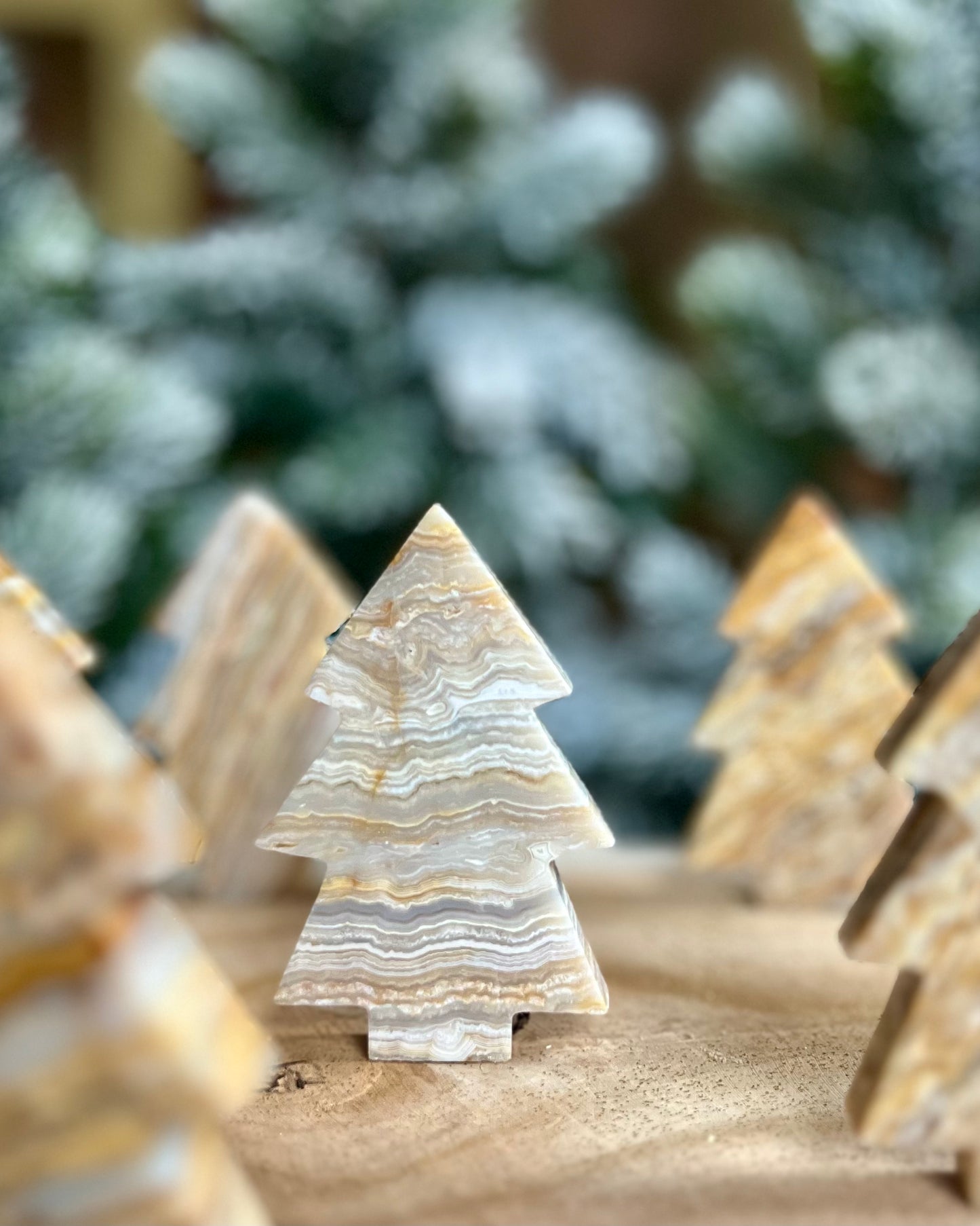 Crazy Lace Agaat boom