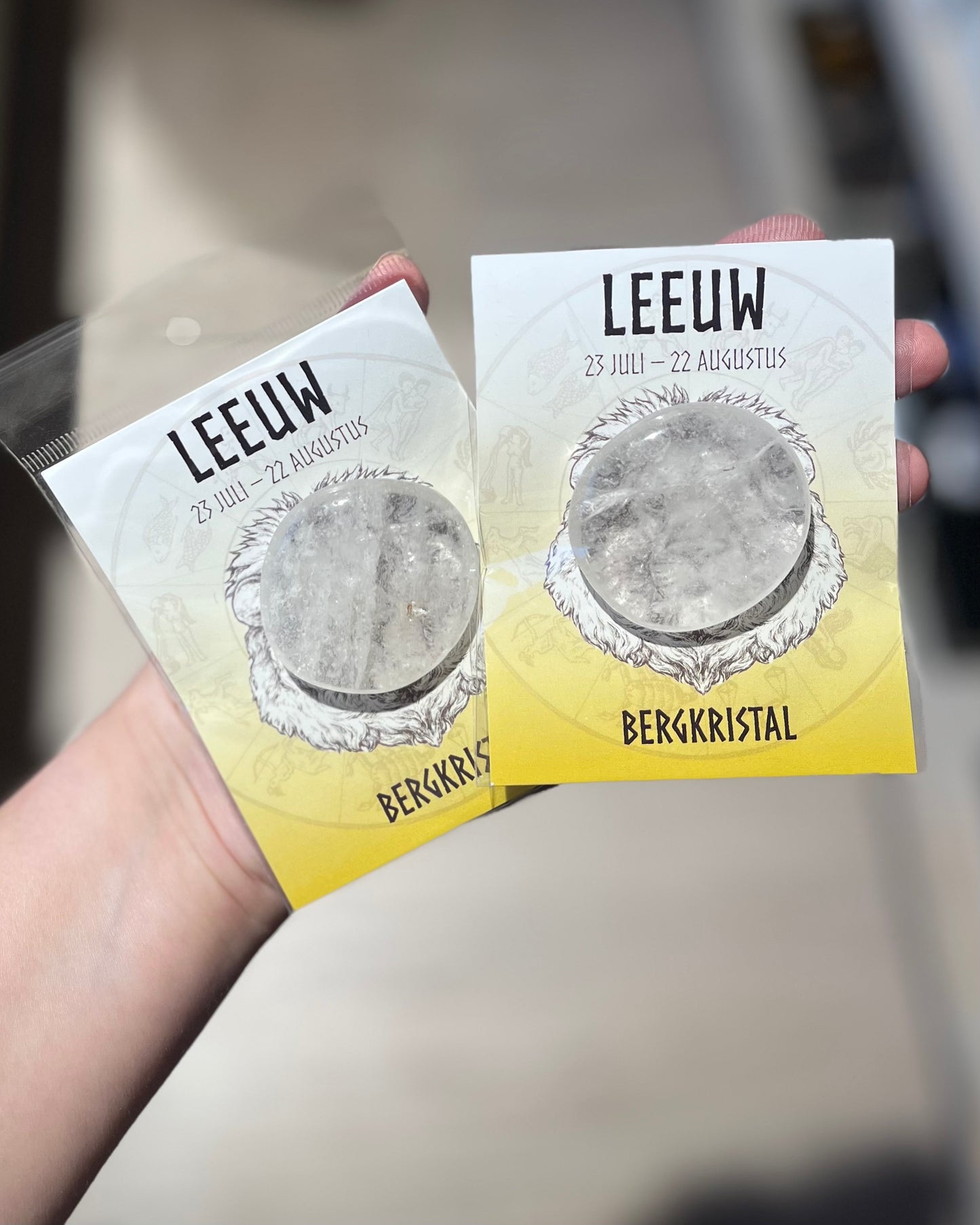 Giftset Leeuw