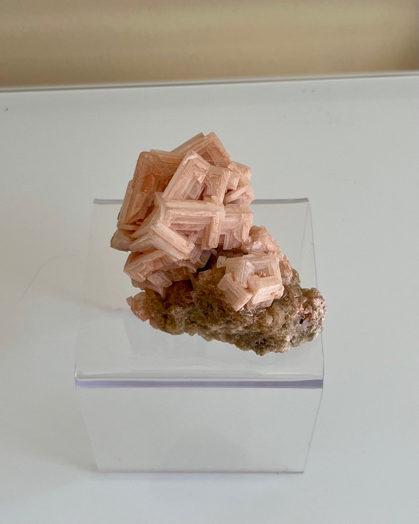 Roze Haliet