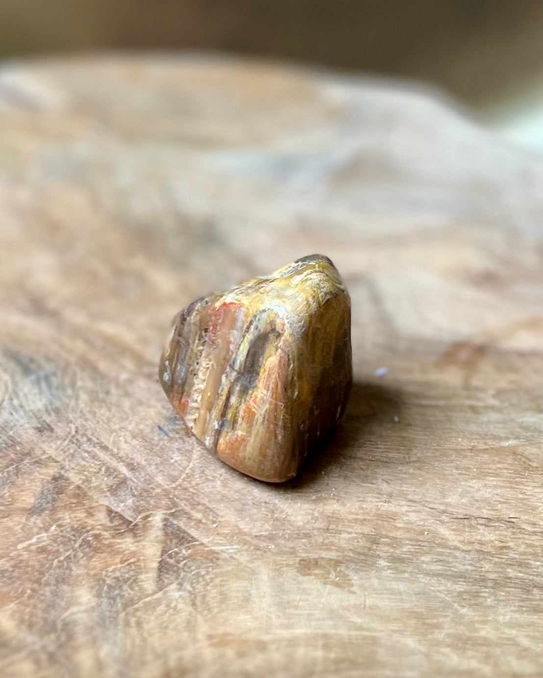 Versteend hout