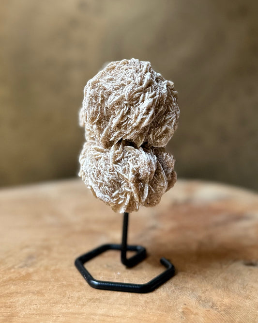 Woestijnroosje op standaard