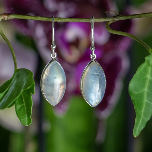 Rainbow Moonstone Earrings 925 Sterling Silver