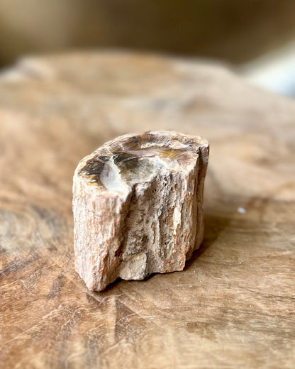 Versteend hout