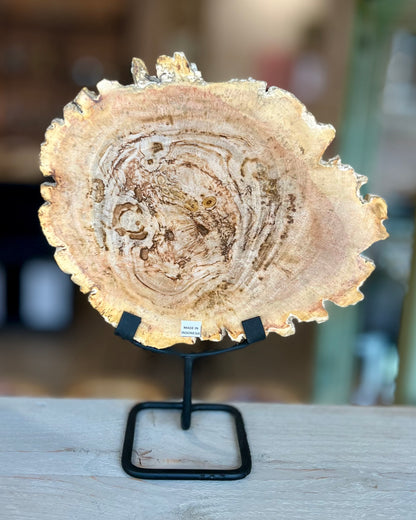Grote schijf versteend hout op standaard