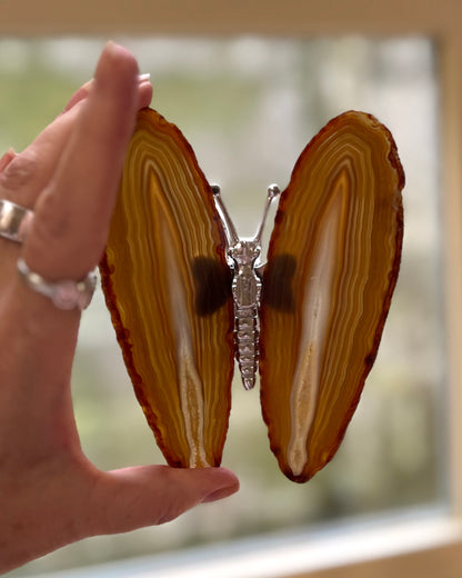 Agate butterfly