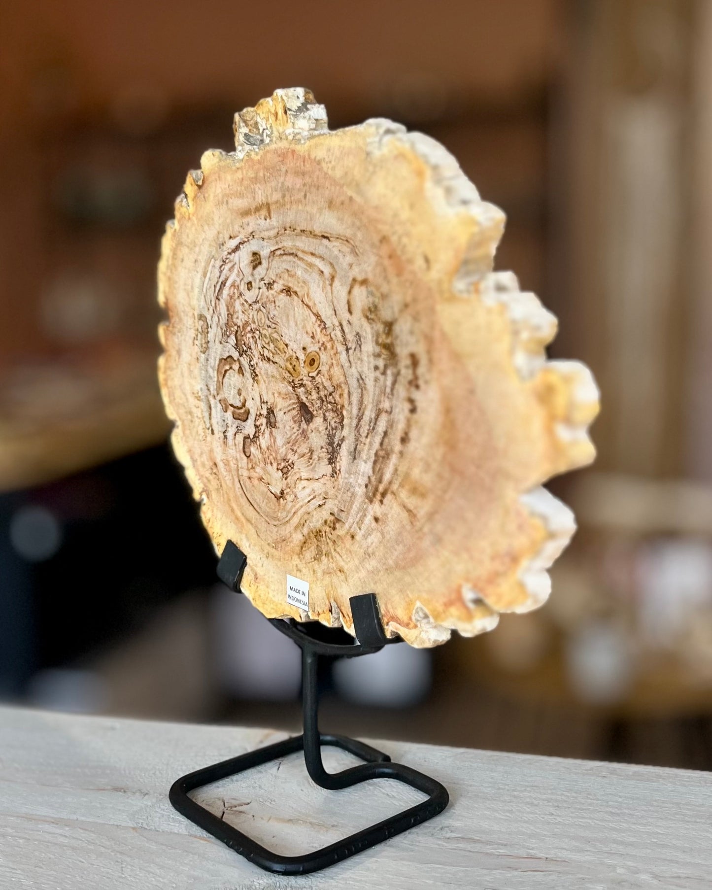 Grote schijf versteend hout op standaard