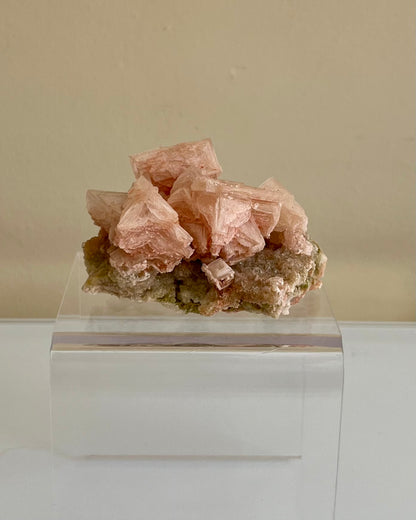 Pink Halite