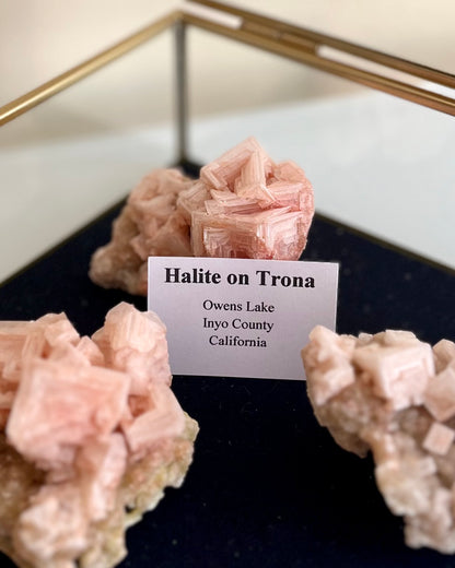 Pink Halite