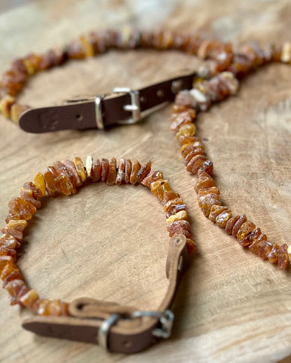 Amber collar (dog)