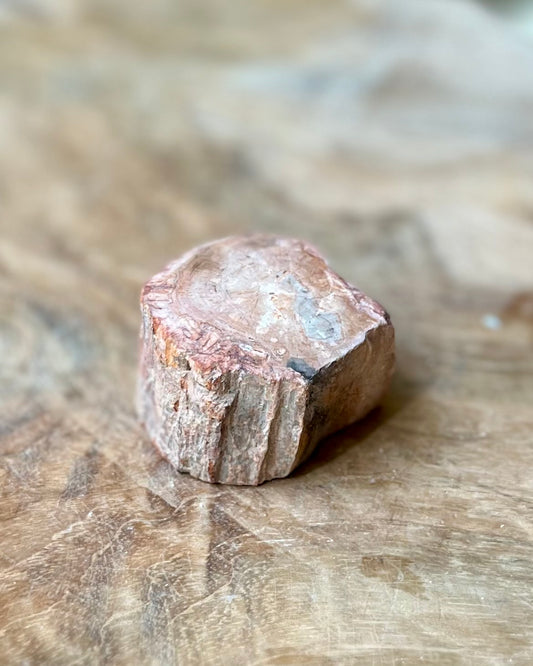 Versteend hout