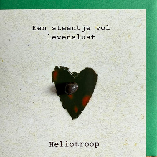 Wenskaart steentje vol levenslust