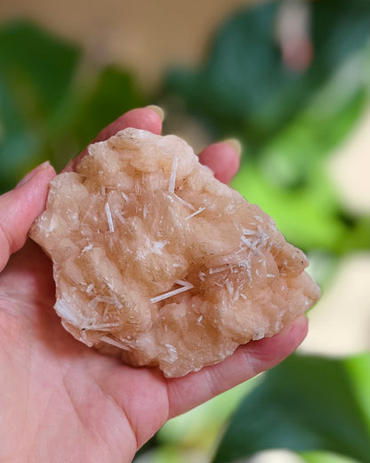 Stilbite with Scolesite