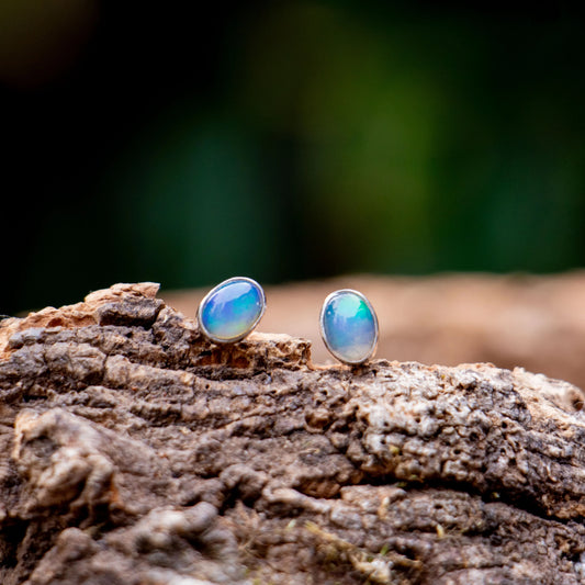 Opal Stud Earrings - 925 Sterling Silver 