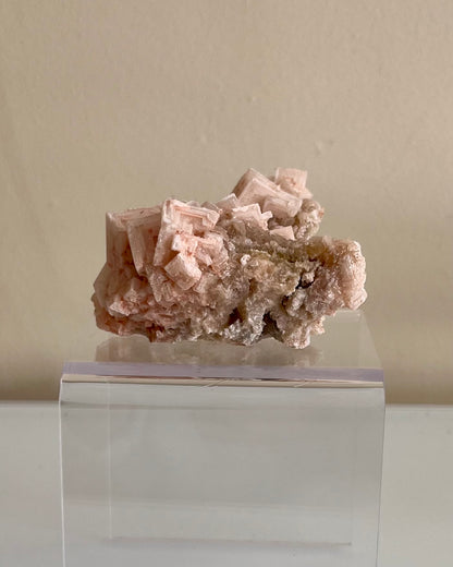 Pink Halite