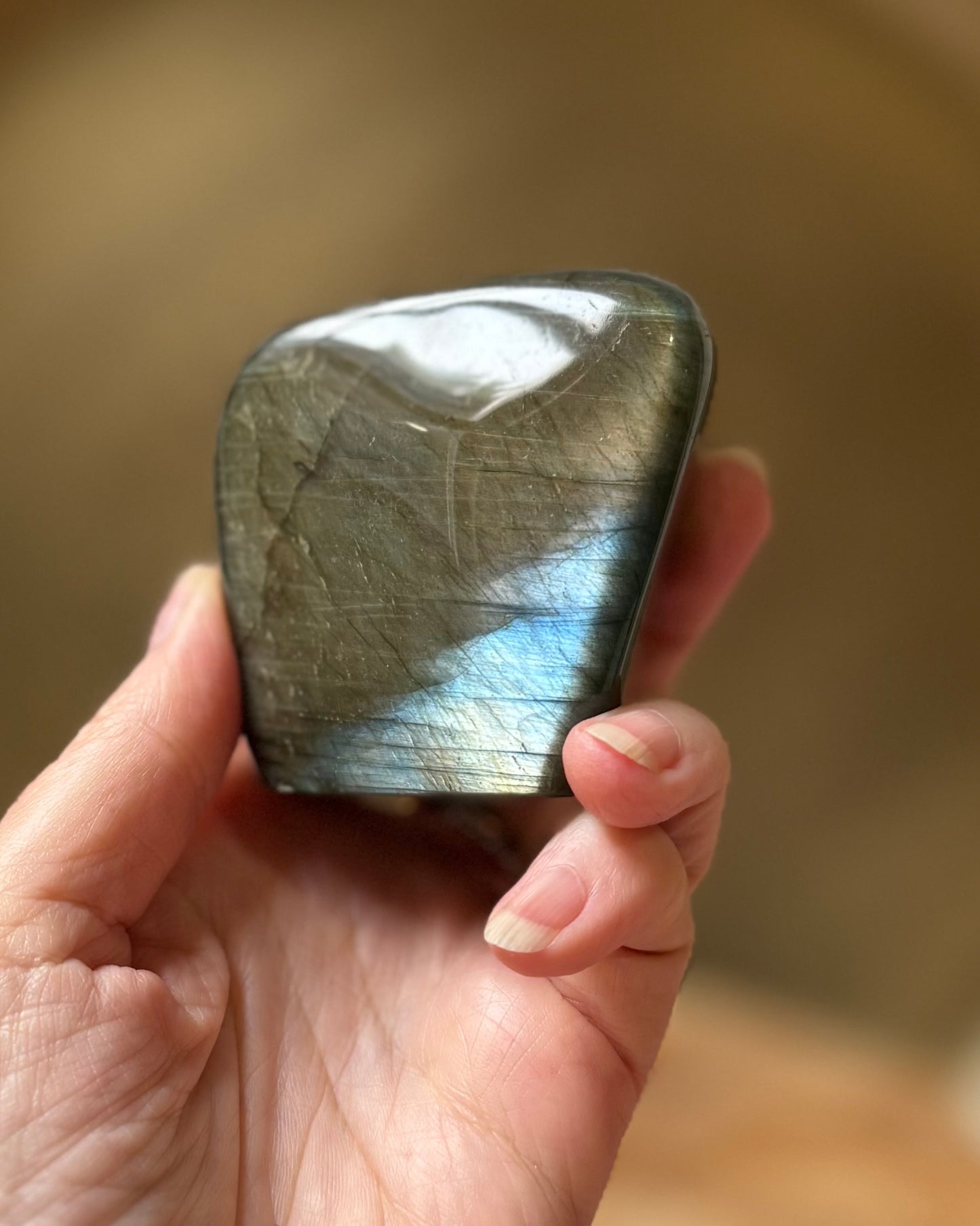 Labradoriet freeform