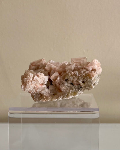 Pink Halite