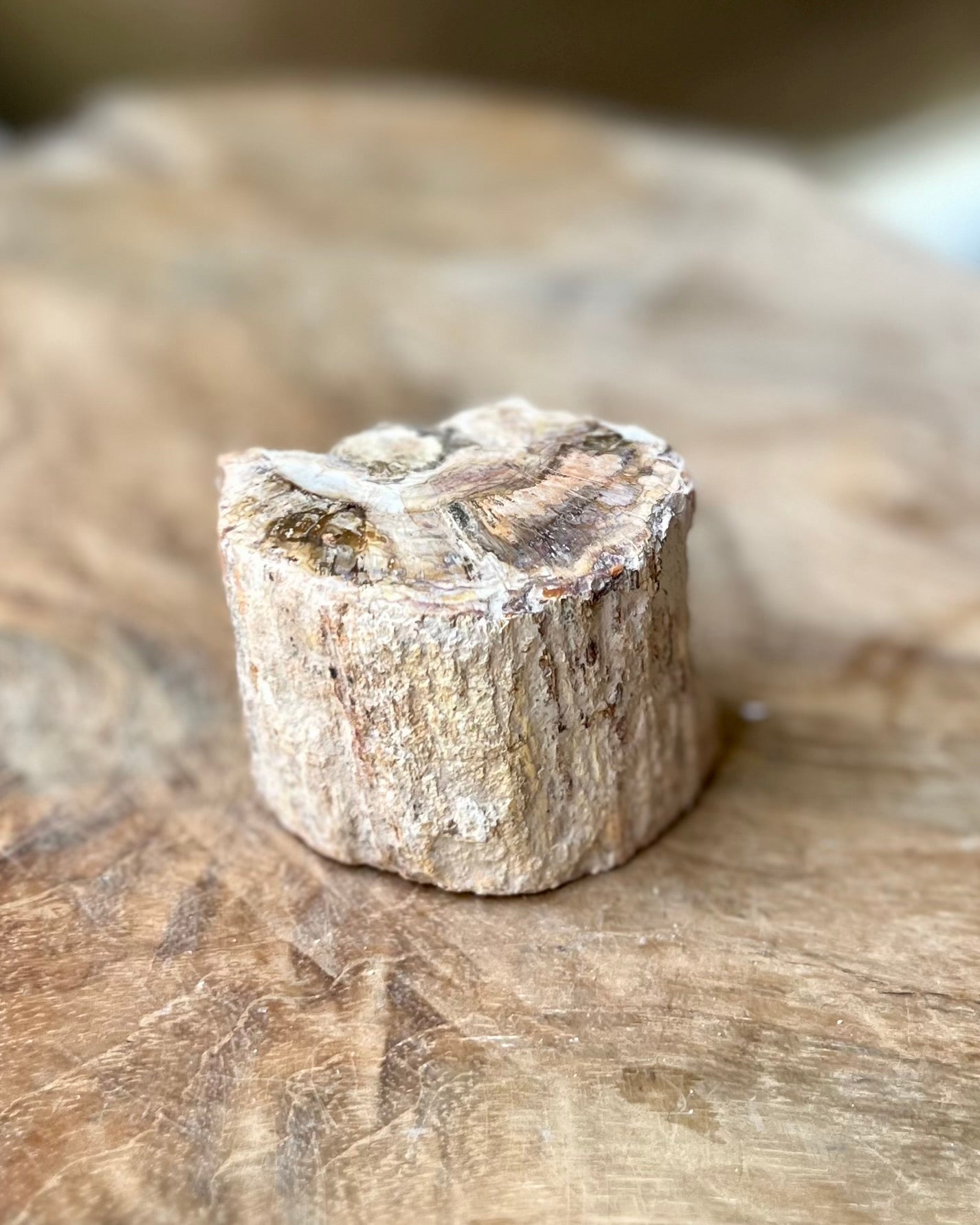 Versteend hout