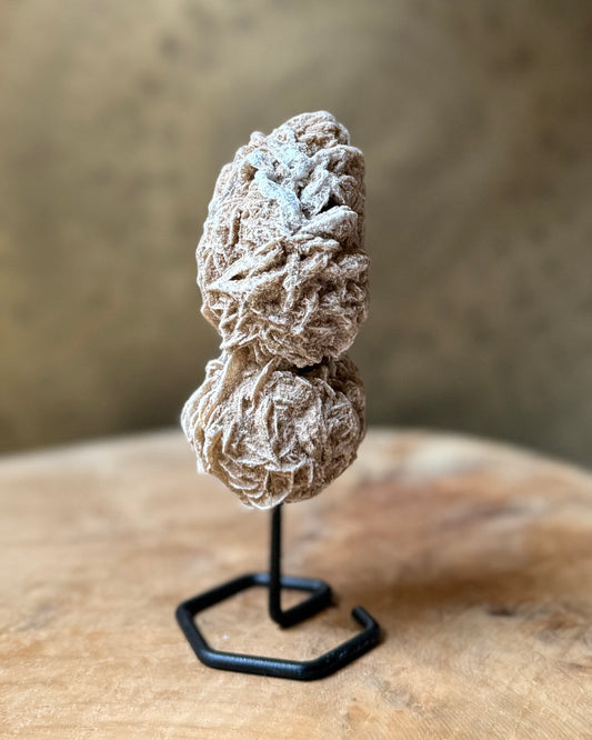 Woestijnroosje op standaard