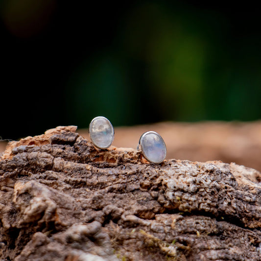 Rainbow Moonstone Earrings 925 Sterling Silver 