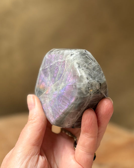 Labradoriet freeform