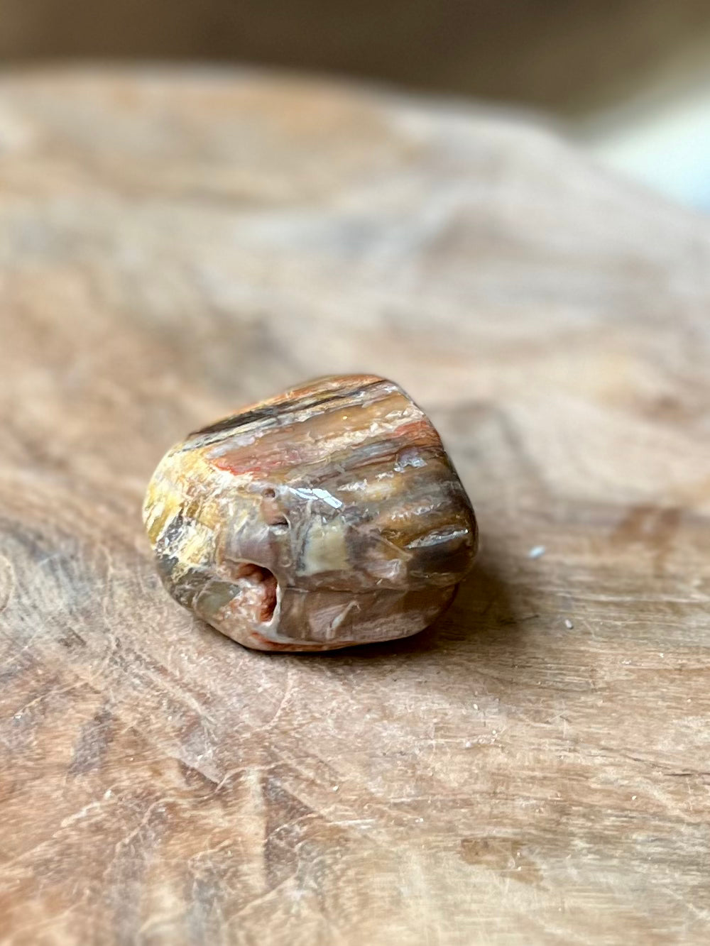 Versteend hout