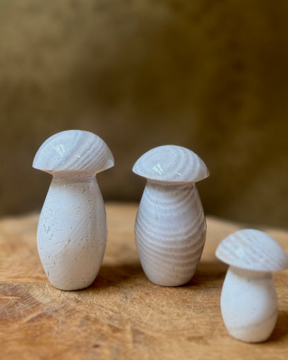 Flint Jaspis Paddenstoel