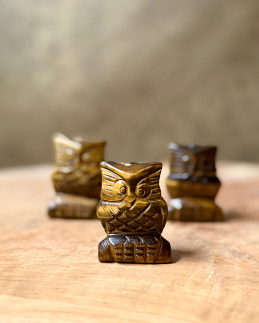 Uil carving Tijgeroog