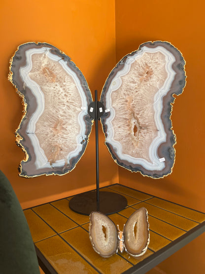 Agate butterfly