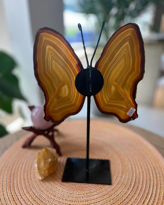 Agaat vlinder